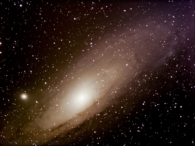 M31