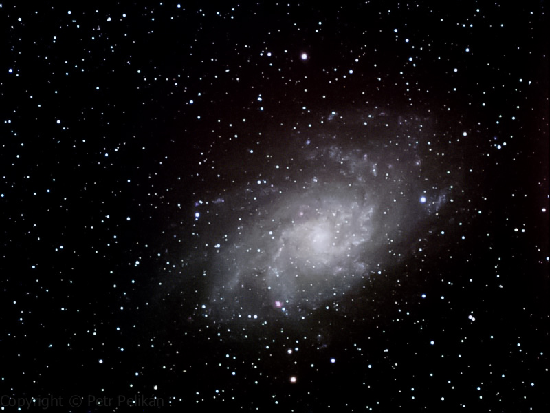 M33